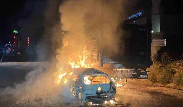 Otomobil ile büyükbaş hayvan yüklü tırın çarpışması sonucu yangın çıktı, 4 hayvan telef oldu