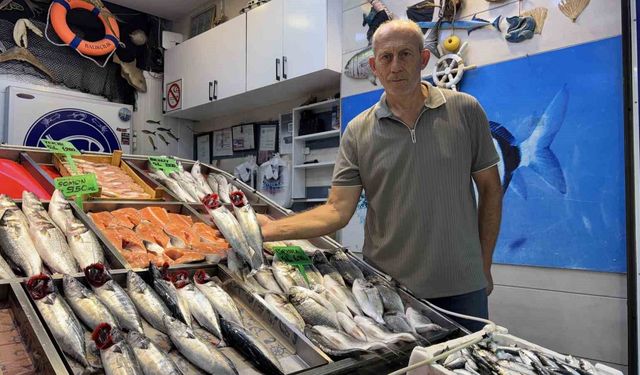 Sezonun ilk palamutları tezgahta