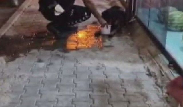 Silahla vurulan sokak köpeğine polis ekipleri sahip çıktı