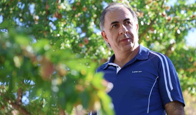 Tekstil Mühendisi, arpa tarlasını 9 yılda Fransız badem bahçesine dönüştürdü