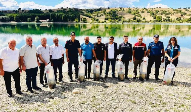 Uluköy Barajı'na 75 bin sazan yavrusu bırakıldı