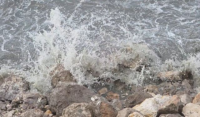 Van'da rüzgar etkili oldu: Van Gölü'nde dalgalar yükseldi, uçaklar ikinci denemede indi