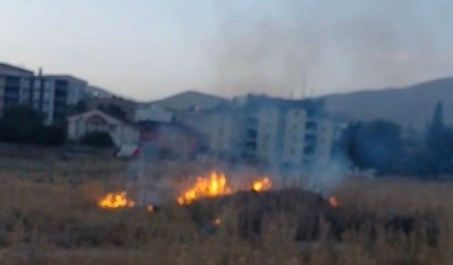 Yüksekova'da anız yangını