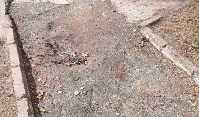 32 Evler Parkı bakımsızlığıyla dikkat çekti