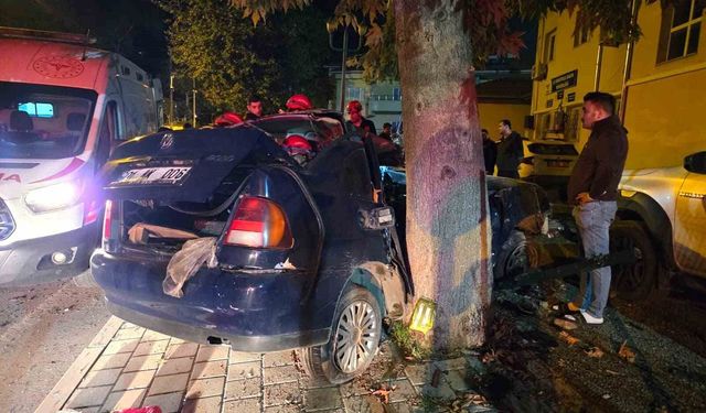 Adana'da ağaca çarpan otomobildeki çocuk öldü, sürücü ağır yaralandı