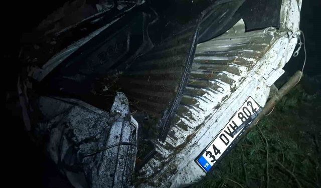 Artvin'de trafik kazası: Baba öldü, iki çocuğu yaralandı