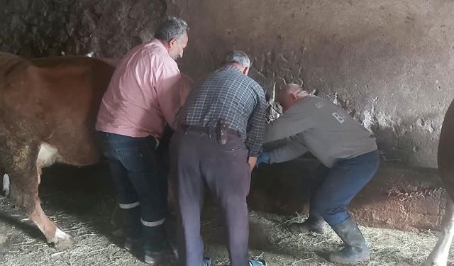 Aydıntepe'de yavru atık bildirimi üzerine saha çalışması yapıldı