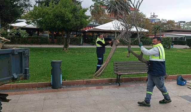 Bandırma'da fırtınanın izleri temizlendi