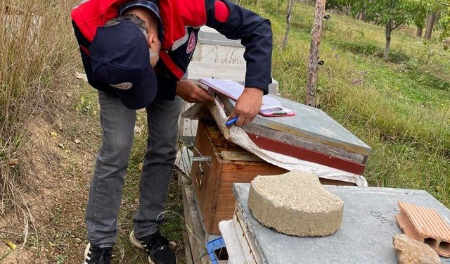 Bayburt'ta arılı kovan desteği için saha kontrolleri sürüyor