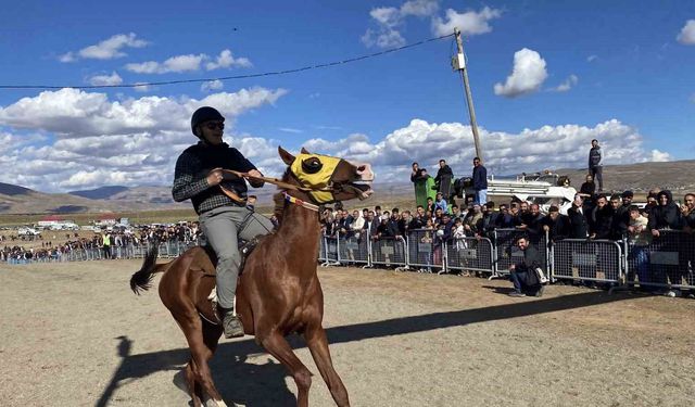 Bingöl'de geleneksel at yarışları renkli görüntülere sahne oldu