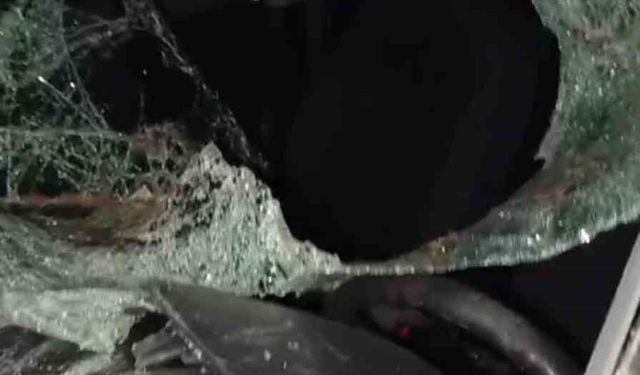 Bingöl'de otomobil ineğe çarptı: 4 yaralı