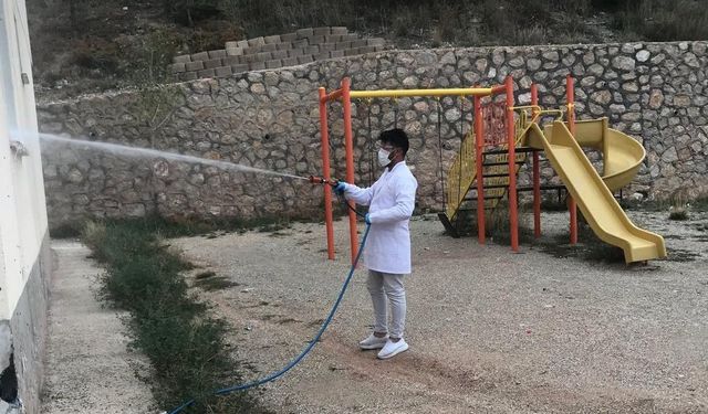 Böcek ve kemirgenlere karşı mücadele sürüyor