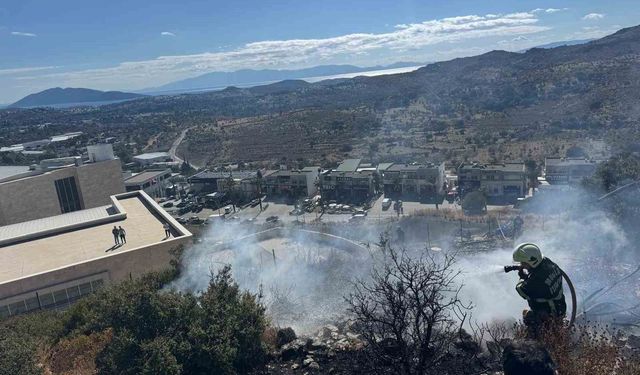 Bodrum'da alevler makilik alana yayıldı