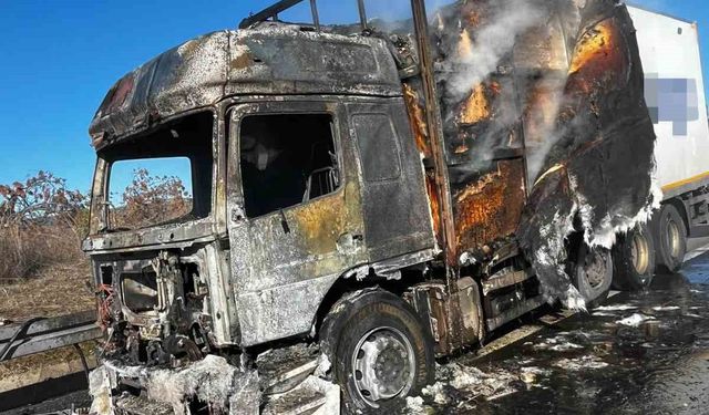 Bolu'da kargo yüklü tır alev alev yandı