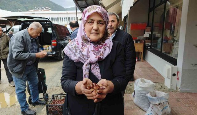Dünyaca ünlü Erfelek kuzu kestanesi tezgahlarda