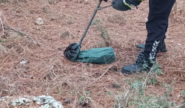 Evin girişinde bulunan yılan, itfaiye ekiplerince doğaya bırakıldı