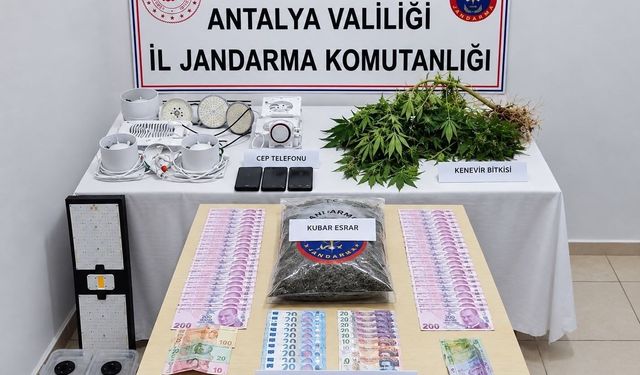 Evinin uyuşturucu imalathanesine çeviren şüpheli gözaltına alındı