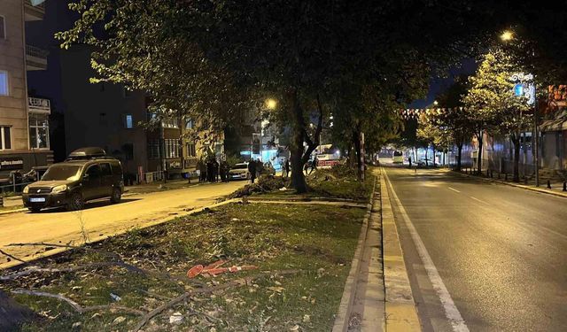 Eyüpsultan'da ağaç kesimi iddiaları sonrası vatandaşlardan İBB'ye tepki