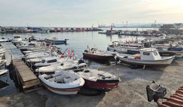 Fırtınanın ardından balıkçılar yeniden denizde: Büyük tekneler Karadeniz'e açıldı