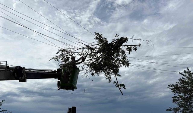 Hopa'da elektrik arıza ekiplerinin rüzgâr mesaisi