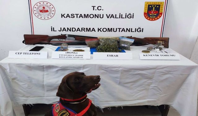 Kastamonu'da uyuşturucu operasyonları: 2 gözaltı