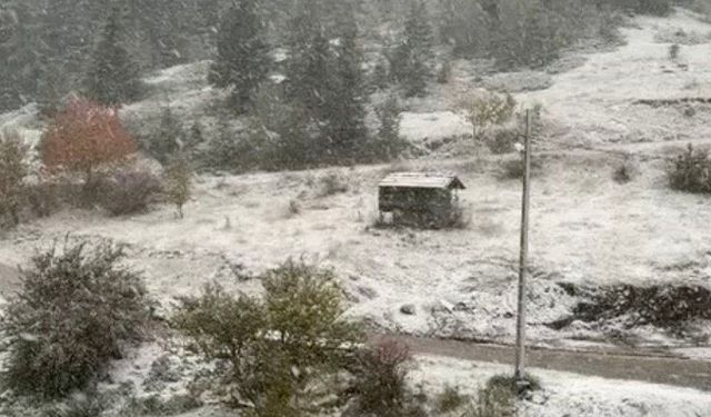 Kastamonu'da yüksek rakımlı yerleşim yerleri beyaza büründü