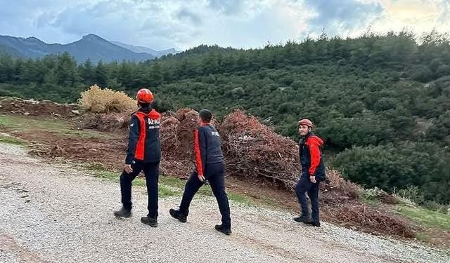 Kayıp yaşlı kadın ormanlık alanda aranıyor