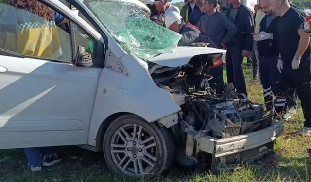 Mardin'de hafif ticari araç ile minibüs çarpıştı: 4 yaralı