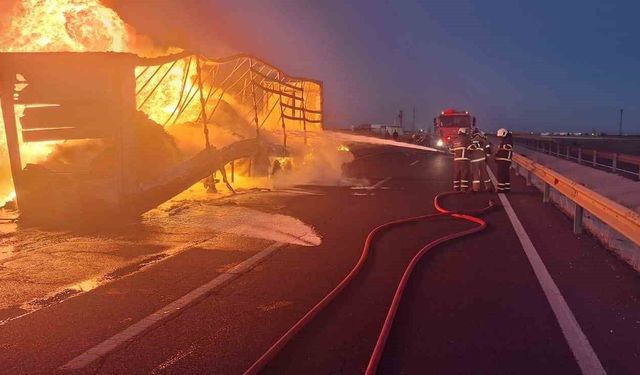 Mardin'de yağ yüklü tırın dorsesinde çıkan yangın söndürüldü