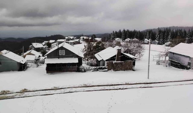 Mevsimin ilk karı Sakarya'nın zirvelerine düştü: Yaylalar beyaza büründü