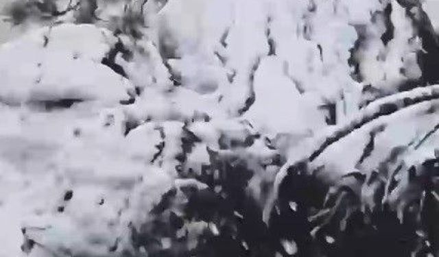 Muğla'ya sezonun ilk karı yağdı