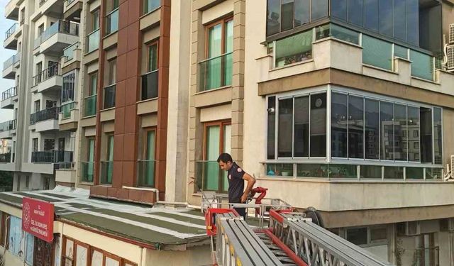 Payas'ta balkon boşluğunda mahsur kalan güvercin kurtarıldı