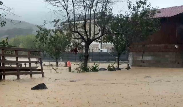 Sakarya'da sel bir mahalleyi sulara gömdü: 60 bin kanatlı hayvan telef oldu