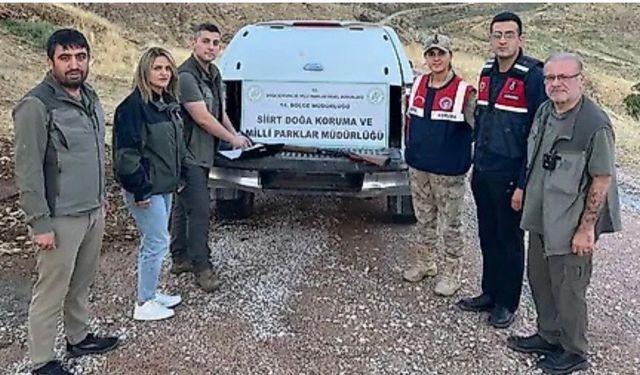 Siirt'te kaçak avcılığa geçit verilmiyor