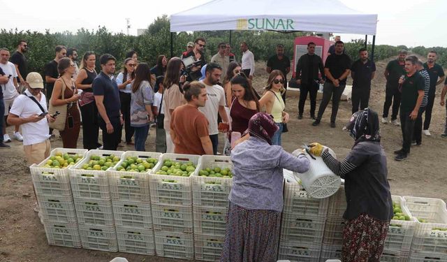Sunar Yatırım'dan Lezzet Festivali kapsamında hasat etkinliği