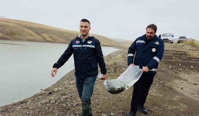 Van'ın su ürünleri sektöründen ekonomiye 25 milyon dolarlık katkı