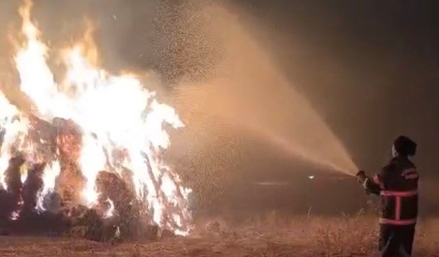 Yüksekova'da çıkan yangında 5 bin bağ ot kül oldu