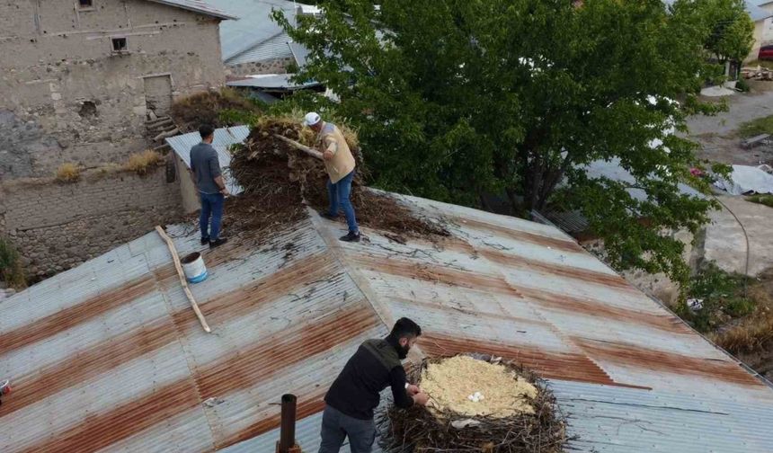 Tunceli’de örnek davranış: Hasarlı binaların çatılarındaki leylek yuvaları güvenli yere taşındı