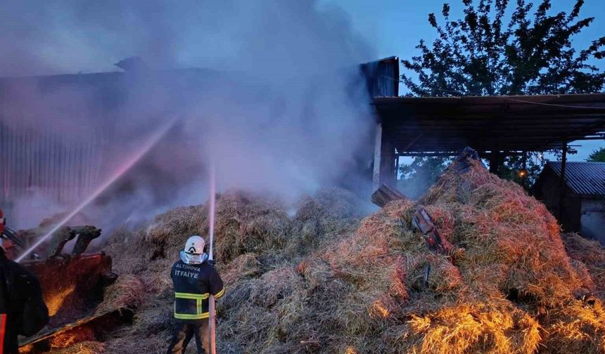 Yalova Altınova’da samanlık yangını