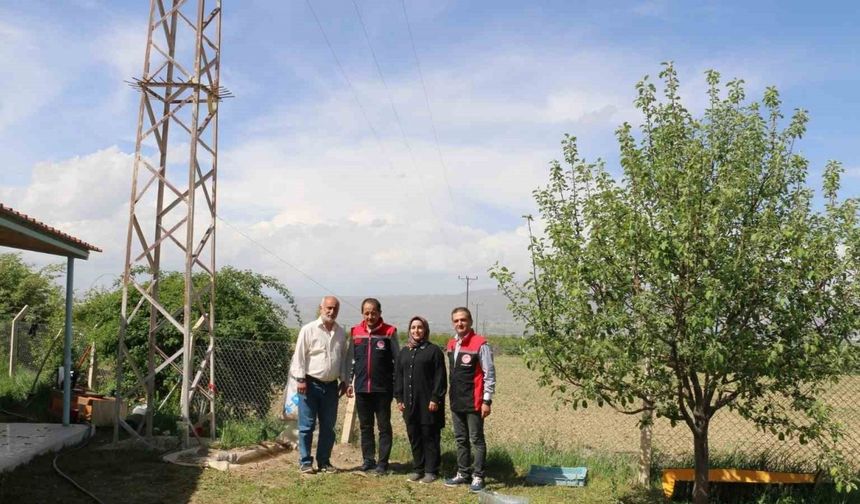 40 binin üzerinde ağaç diken Erzincanlı profesör, kazlarla biyolojik mücadele uyguluyor