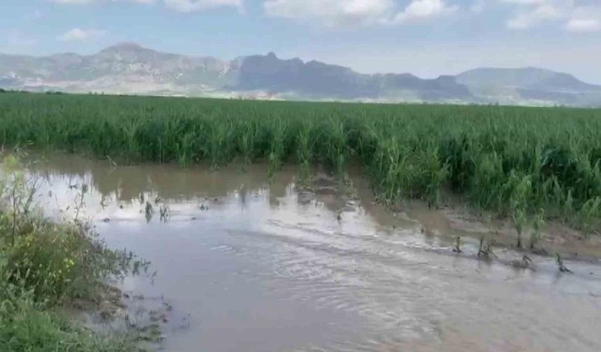 Adana’da şiddetli yağmur ve dolu, tarım ürünlerine zarar verdi