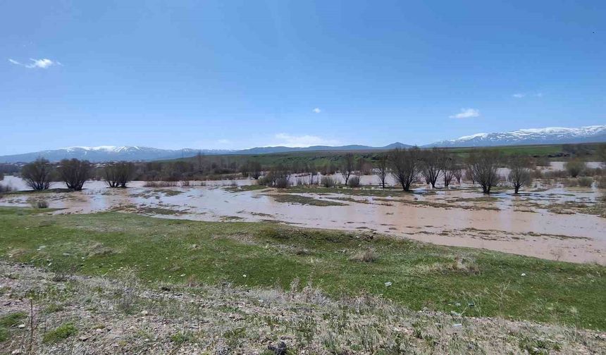 Ağrı’da Murat Nehri taştı araziler sular altında kaldı