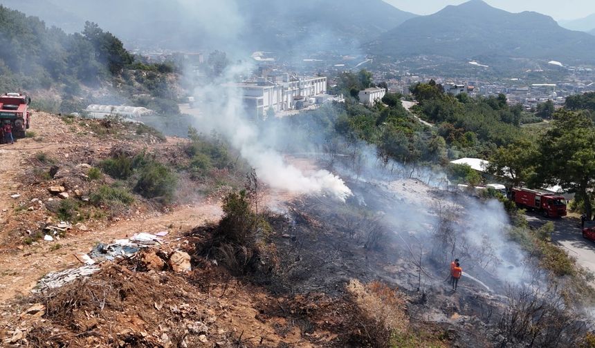 Alanya’da makilik alandaki yangın ormana sıçramadan söndürüldü