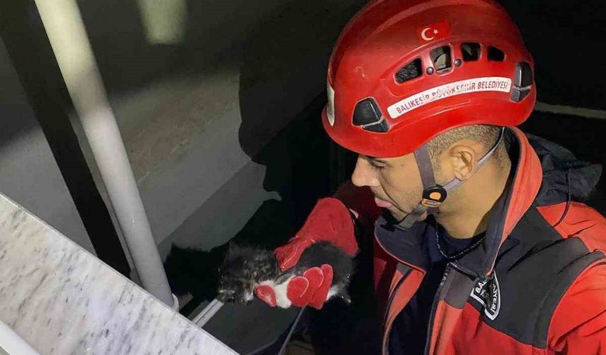 Apartman boşluğuna düşen yavru kedi itfaiye ekiplerince kurtarıldı
