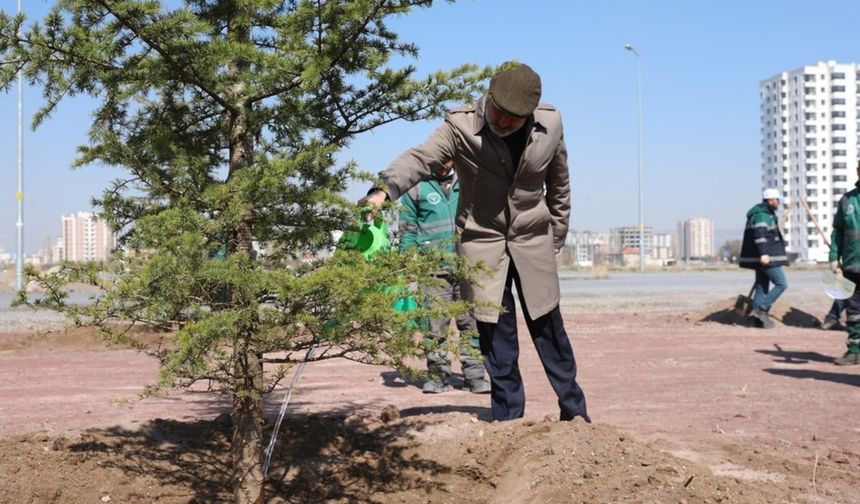 Başkan Çolakbayrakdar: "Kocasinan’ı yeşille donatıyoruz, Türkiye’ye örnek oluyoruz"