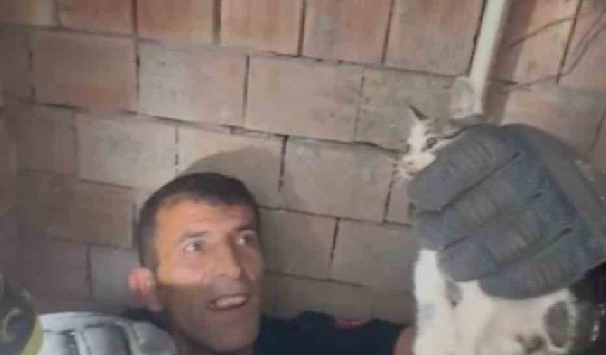 Bina boşluğuna düşen yavru kedi itfaiye ekiplerince kurtarıldı