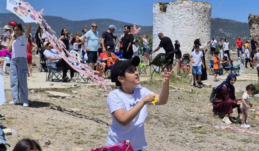 Bodrum Uçurtma Festivali yapıldı