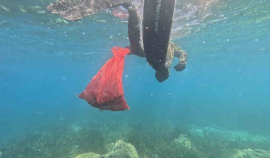 Bodrum’da deniz dibi temizliği başladı