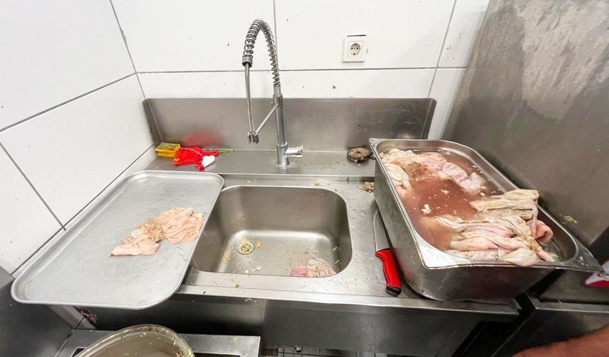 Bozulmuş meze, et ve et ürünleri kullanan restoran mühürlendi