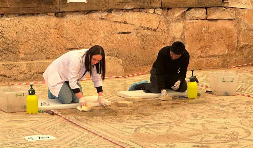 ‘Cennet Bahçesi’ mozaiğinde restorasyon ve konservasyon başladı